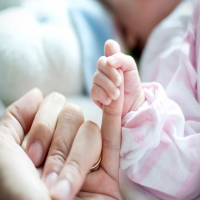 试管婴儿冷冻胚胎移植流程怎么走？内膜方案选择、复苏节点与验孕安排参考