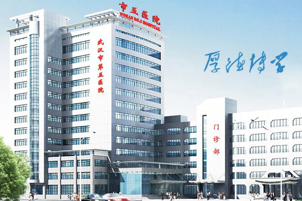 武汉市第五医院