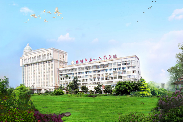 昆明市第一人民医院